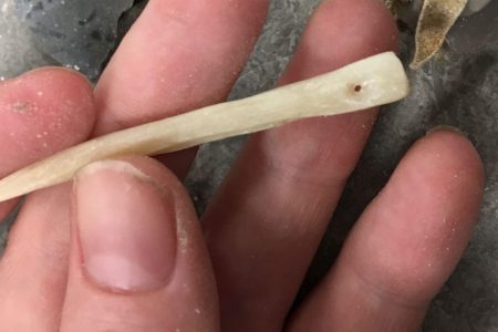 Making a point: Replicating needles from the Canadian Arctic
